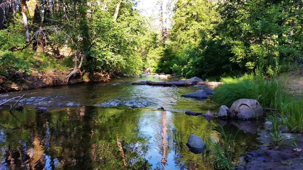 Yosemite Riverside Inn Groveland Eksteriør billede