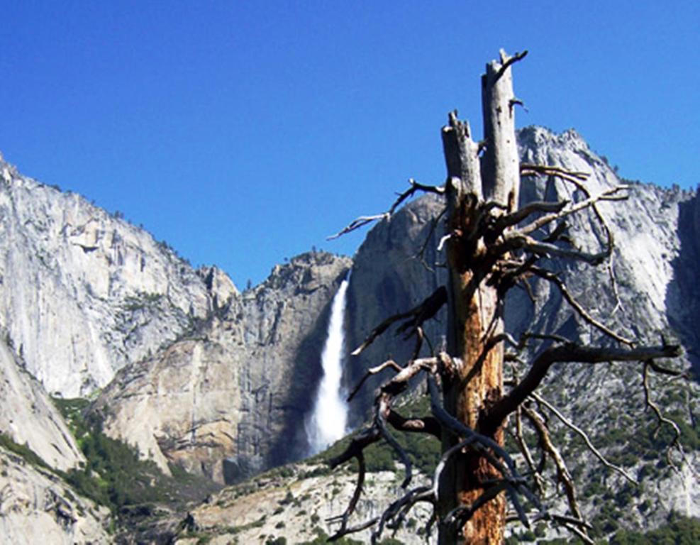 Yosemite Riverside Inn Groveland Eksteriør billede